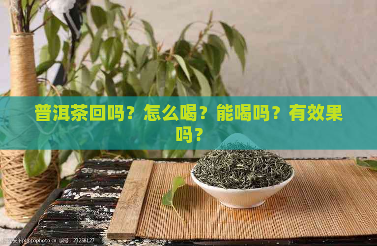 普洱茶回吗？怎么喝？能喝吗？有效果吗？