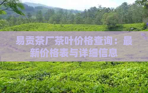 易贡茶厂茶叶价格查询：最新价格表与详细信息