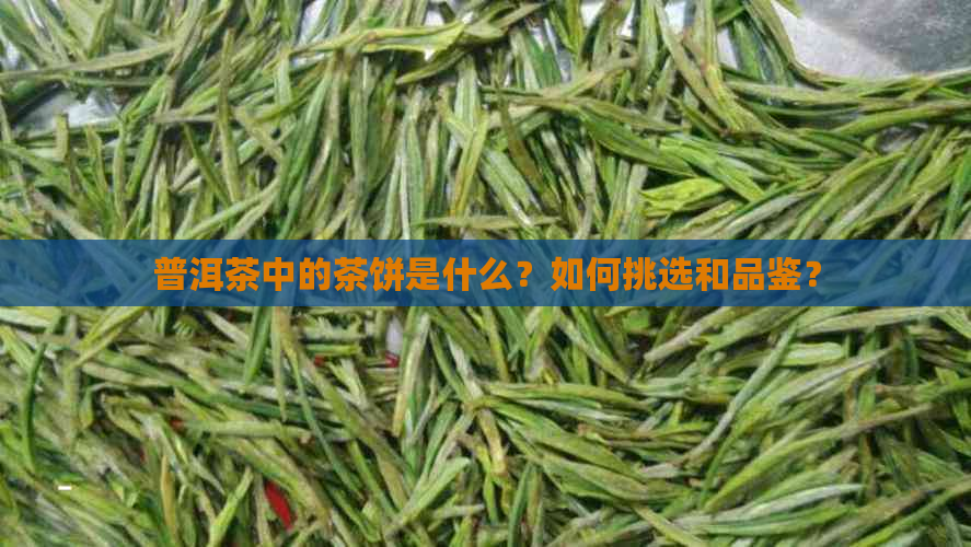 普洱茶中的茶饼是什么？如何挑选和品鉴？