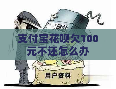 支付宝花呗欠100元不还怎么办