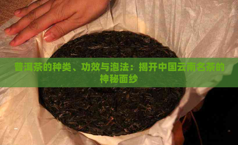 普洱茶的种类、功效与泡法：揭开中国云南名茶的神秘面纱