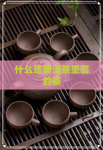 什么是普洱茶里面的茶