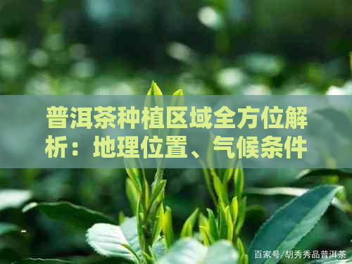 普洱茶种植区域全方位解析：地理位置、气候条件、土特点等详细信息