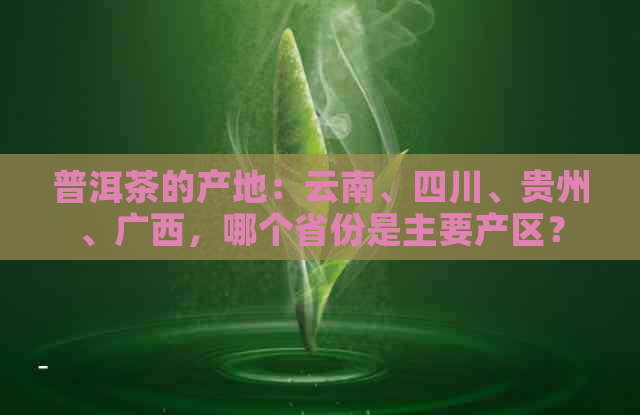 普洱茶的产地：云南、四川、贵州、广西，哪个省份是主要产区？