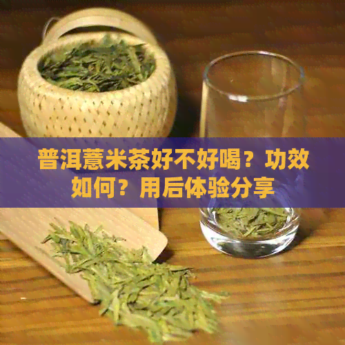 普洱薏米茶好不好喝？功效如何？用后体验分享