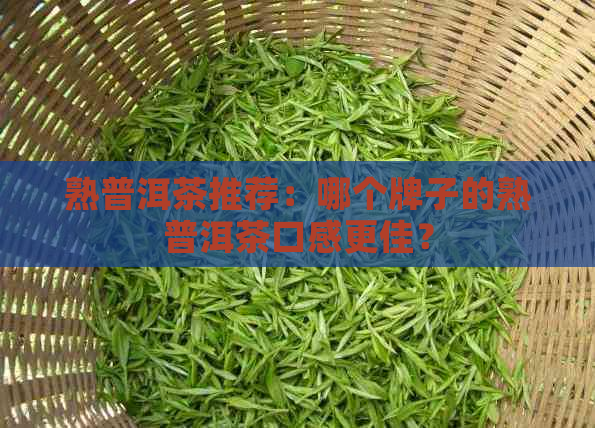 熟普洱茶推荐：哪个牌子的熟普洱茶口感更佳？