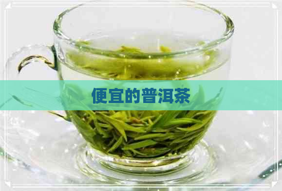 便宜的普洱茶