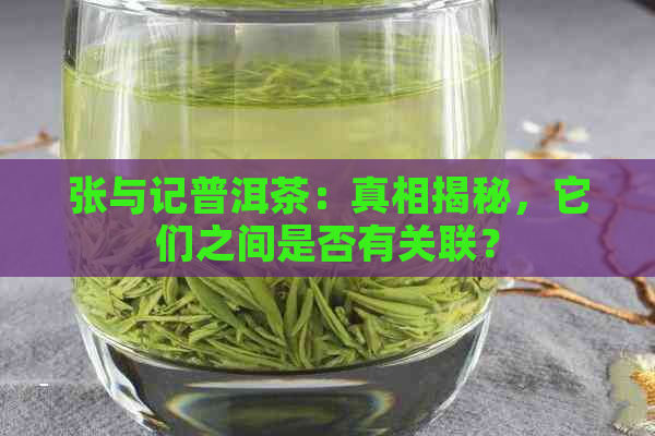 张与记普洱茶：真相揭秘，它们之间是否有关联？