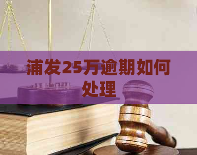 浦发25万逾期如何处理