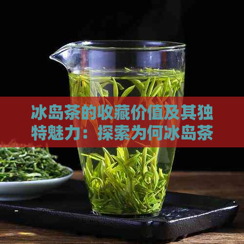 冰岛茶的收藏价值及其独特魅力：探索为何冰岛茶成为收藏家们的心头好