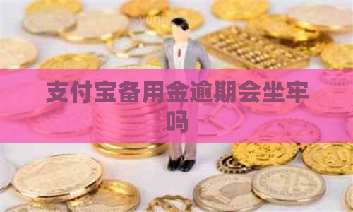 支付宝备用金逾期会坐牢吗