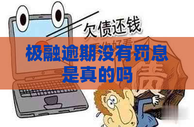 极融逾期没有罚息是真的吗