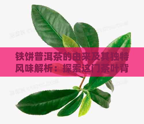 铁饼普洱茶的由来及其独特风味解析：探索这门茶叶背后的故事