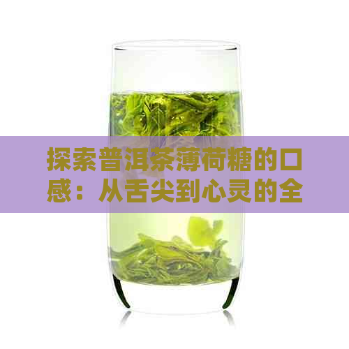 探索普洱茶薄荷糖的口感：从舌尖到心灵的全面体验