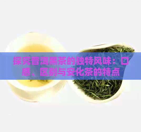 探究普洱黑茶的独特风味：口感、区别与安化茶的特点