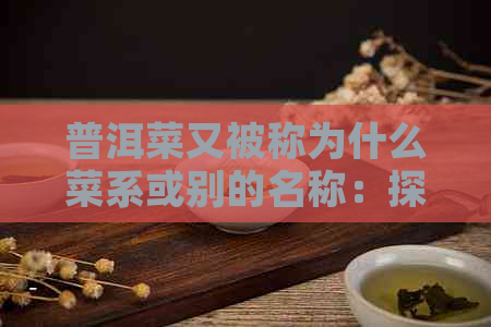 普洱菜又被称为什么菜系或别的名称：探寻普洱菜的多样性与传统