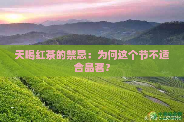 天喝红茶的禁忌：为何这个节不适合品茗？