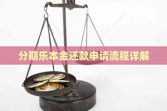 本金还款申请流程详解