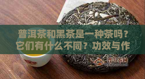 普洱茶和黑茶是一种茶吗？它们有什么不同？功效与作用是什么？请告诉我。