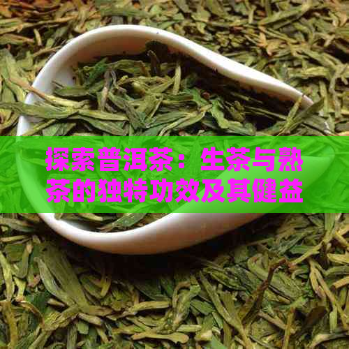 探索普洱茶：生茶与熟茶的独特功效及其健益处