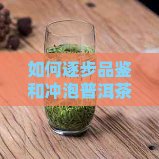 如何逐步品鉴和冲泡普洱茶的精髓，从了解每一片茶叶开始