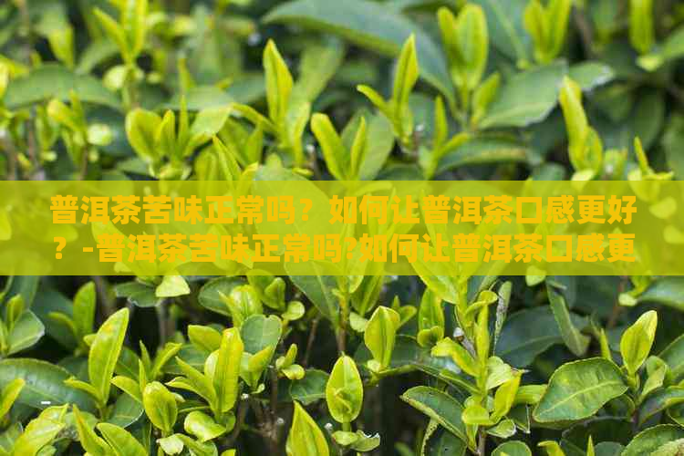 普洱茶苦味正常吗？如何让普洱茶口感更好？-普洱茶苦味正常吗?如何让普洱茶口感更好呢