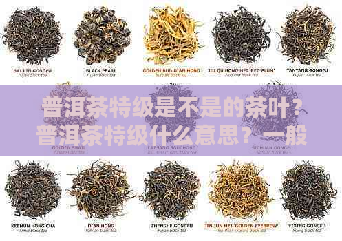 普洱茶特级是不是的茶叶？普洱茶特级什么意思？一般价格是多少？