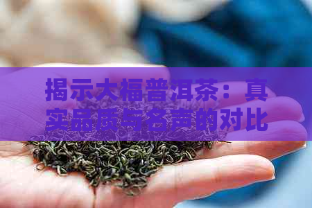 揭示大福普洱茶：真实品质与名声的对比分析