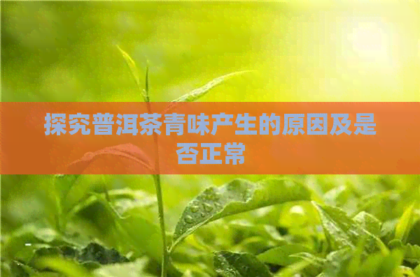 探究普洱茶青味产生的原因及是否正常