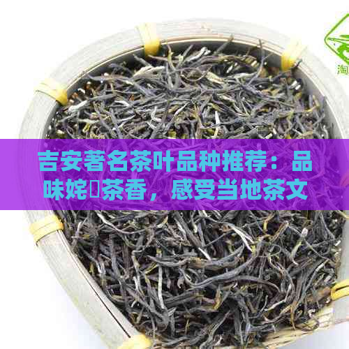 吉安著名茶叶品种推荐：品味姹熻茶香，感受当地茶文化