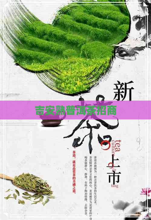 吉安熟普洱茶招商