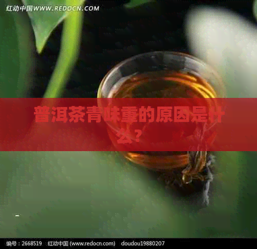 普洱茶青味重的原因是什么？