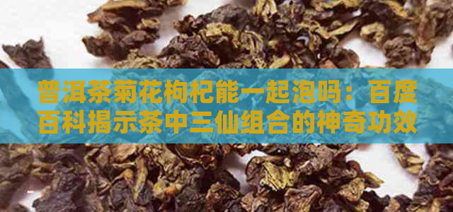 普洱茶菊花枸杞能一起泡吗：百度百科揭示茶中三仙组合的神奇功效。