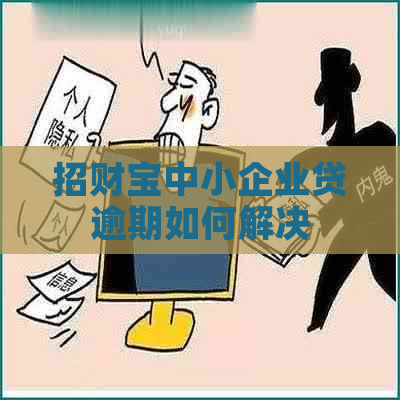 招财宝中小企业贷逾期如何解决