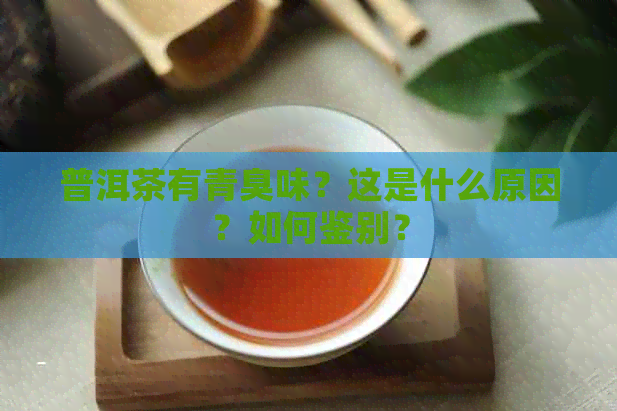 普洱茶有青臭味？这是什么原因？如何鉴别？