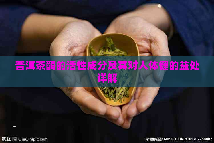 普洱茶酶的活性成分及其对人体健的益处详解