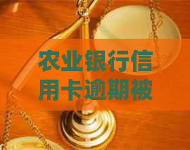 农业银行信用卡逾期被报案怎么办