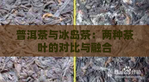 普洱茶与冰岛茶：两种茶叶的对比与融合