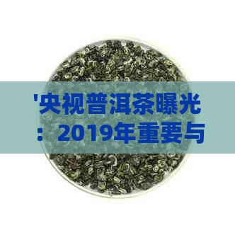 '央视普洱茶曝光：2019年重要与新闻报道全解析'