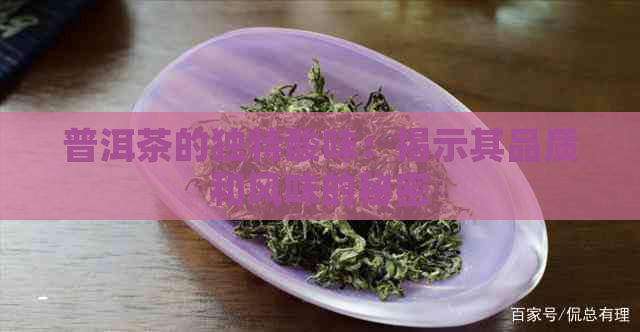 普洱茶的独特酸味：揭示其品质和风味的秘密