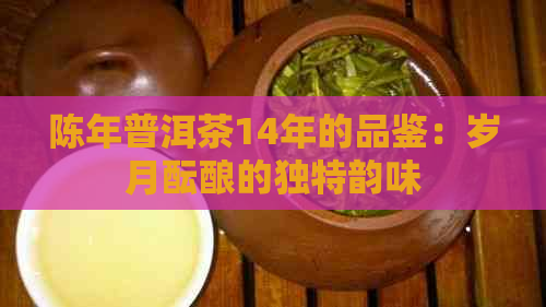 陈年普洱茶14年的品鉴：岁月酝酿的独特韵味