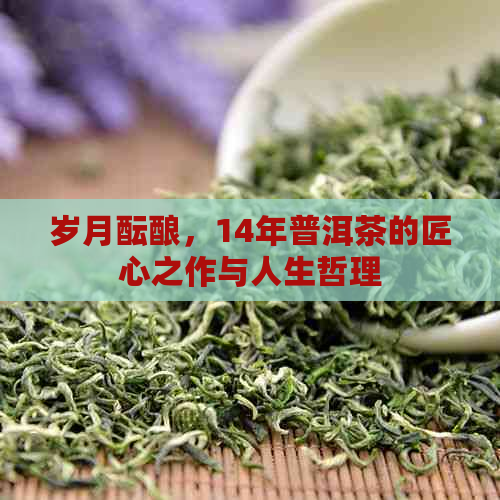 岁月酝酿，14年普洱茶的匠心之作与人生哲理