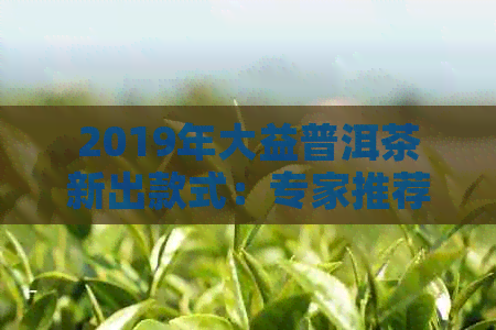 2019年大益普洱茶新出款式：专家推荐的几款优质熟茶