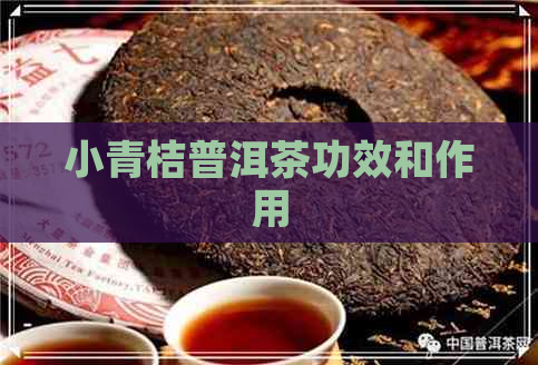 小青桔普洱茶功效和作用