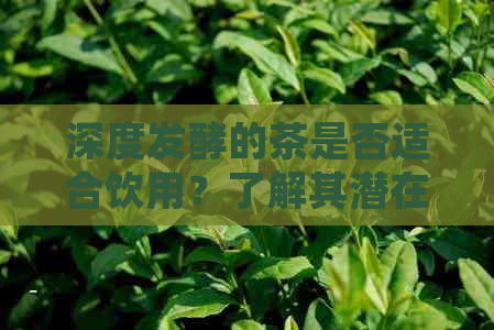 深度发酵的茶是否适合饮用？了解其潜在风险与健益处