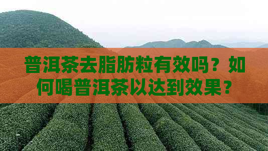 普洱茶去脂肪粒有效吗？如何喝普洱茶以达到效果？