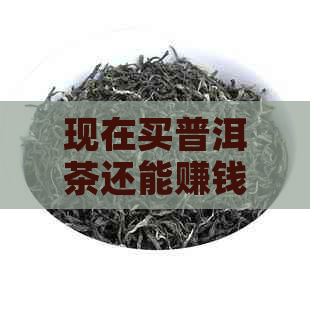 现在买普洱茶还能赚钱嘛？现在普洱茶的价格是多少？