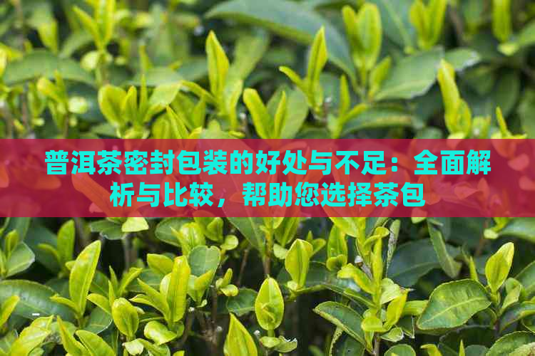 普洱茶密封包装的好处与不足：全面解析与比较，帮助您选择茶包