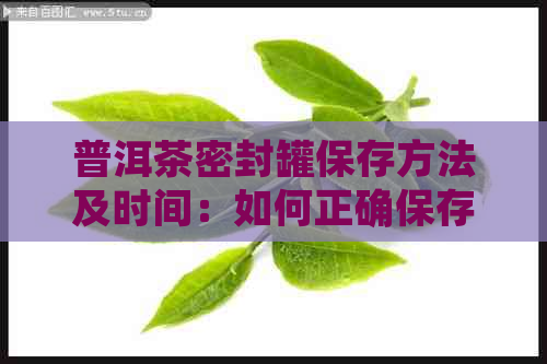 普洱茶密封罐保存方法及时间：如何正确保存普洱茶？