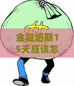 金融逾期15天应该怎么处理